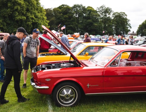 A CRACKING TURNOUT FOR THE STARS & STRIPES WEEKEND AT TATTON PARK